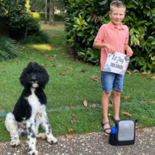 A boy stands beside a dog, both looking at a sign that conveys an important message or information.