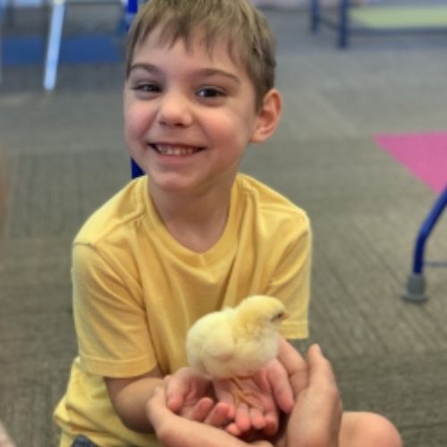 A young boy beams with joy as he gently holds a small chicken in his hands, showcasing a moment of happiness.