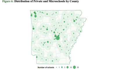 Third Year Report Shows Growth, Success of Arkansas EFA Program